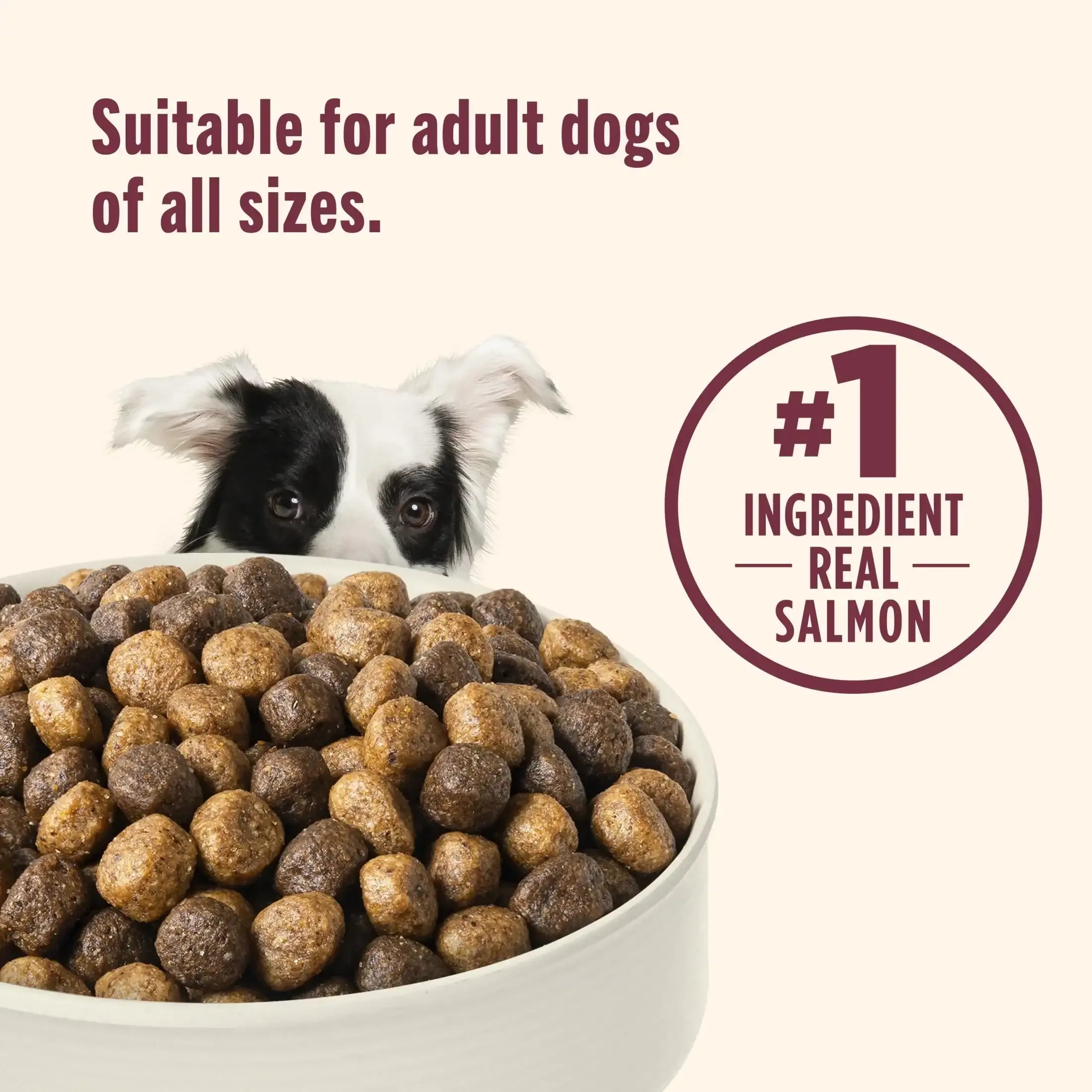 Nutrish Real Salmon, Veggies & Brown Rice Recipe Whole Health Blend Dry Dog Food, 13 lb. Bag (Rachael Ray) - USA MEGA SHOP