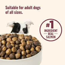 Dry dog food bowl and kibble with #1 ingredient real salmon badge