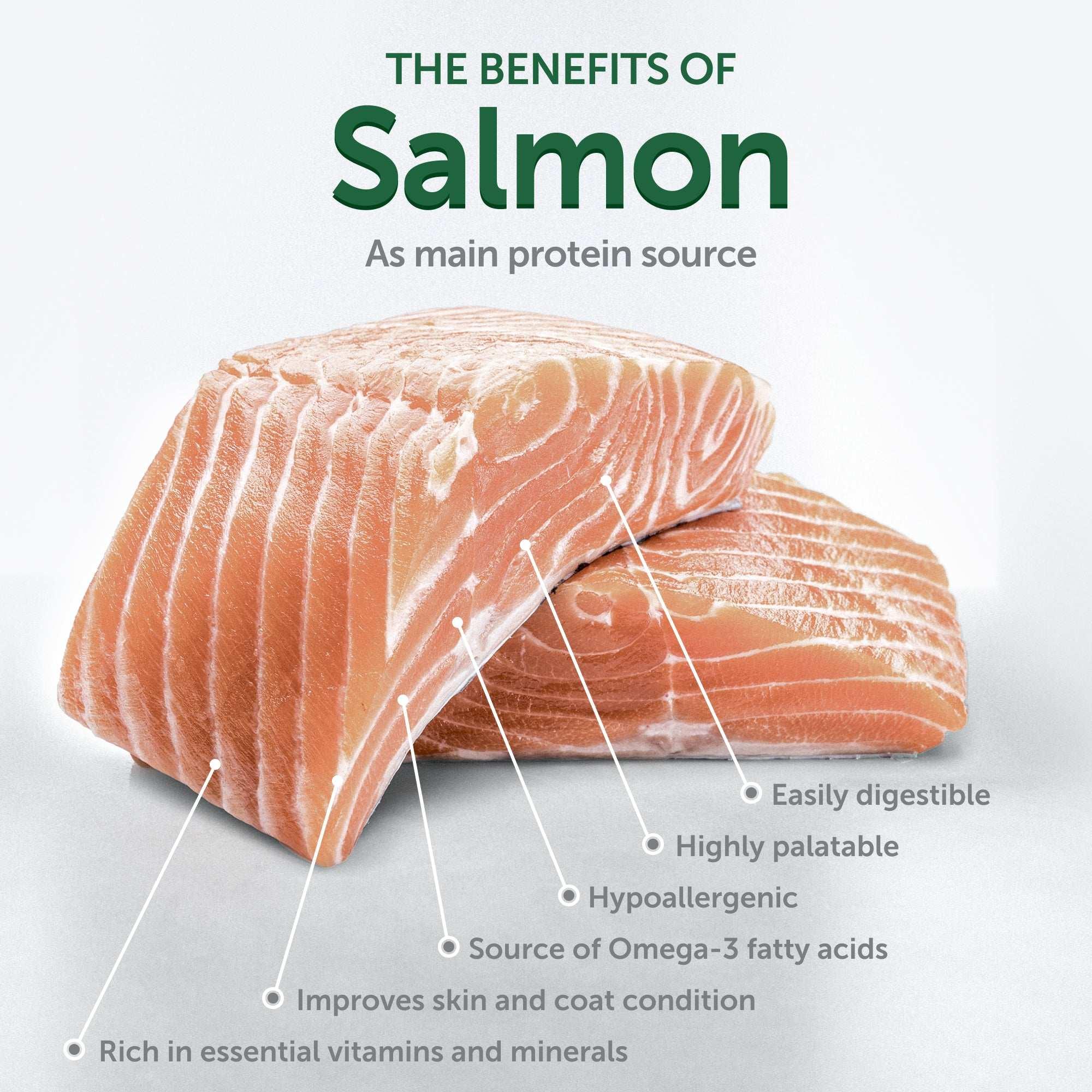 Nature's Protection Superior Care Grain Free Salmon Starter Dry Dog Food, Puppy & Mothers of All Breed, 3.3 lb Bag - USA MEGA SHOP