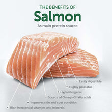 Salmon fillet with infographic callouts for grain-free dry dog food benefits