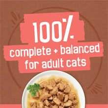 Wet cat food bowl with chunks in gravy, 100% complete and balanced for adult cats