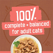 Wet cat food in bowl with gravy and chunky meat pieces for adult cats