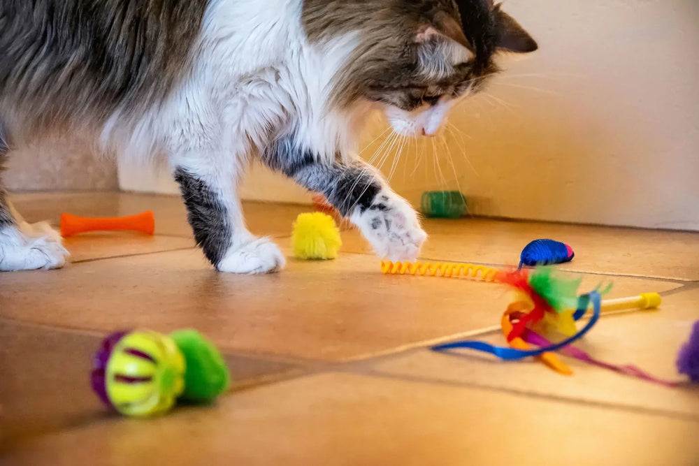 Vibrant Life 24 Piece Value Pack Cat Toys - USA MEGA SHOP