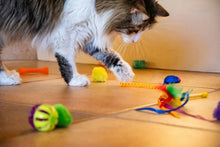 Cat toy set on floor: green wand, yellow pom-pom, and colorful string