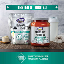 Organic protein powder pack lineup: pumpkin seed protein pouch and barley rice protein jar