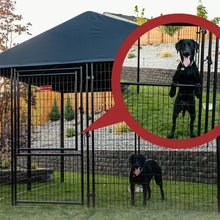 Black outdoor dog kennel with privacy screen and front gate