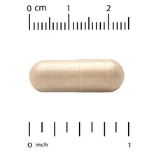 Bee propolis supplement capsule, beige, shown with size ruler