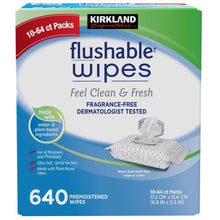 Kirkland premoistened flushable wipes box, fragrance-free, 640-count