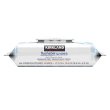 Flushable wipes box with handle, fragrance-free premoistened wipes, 64 wipes.