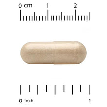 Beige veggie ginkgo biloba capsule with measurement marks above and below