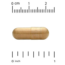 Brown-gold softgel capsule with ruler scale showing 0 to 1 inch