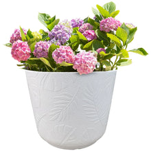 Round white resin planter with embossed leaf pattern holding pink flowers