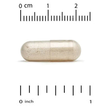 Cream-colored veggie capsule with measuring scale from 0 to 2 cm