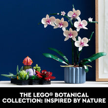 Artificial orchid with pink-and-white blossoms and green leaves in blue ribbed pot