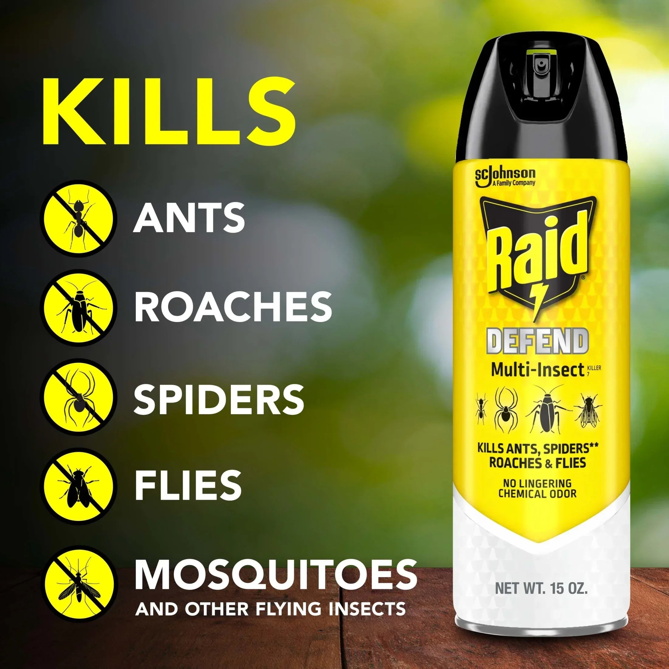 Raid Defense System Indoor and Outdoor Ants, Roaches, Spiders and Flies Insect Killer Bug Spray, 15 oz