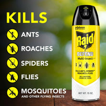 Raid multi-insect insect killer aerosol can with yellow label and black nozzle