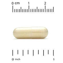Vein Support veggie capsule, shown with a measuring scale