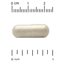 Beige veggie capsule, shown next to metric and inch ruler
