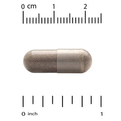 Super Nutrition, Organic Mushroom + Ginger, 60 Veggie Capsules