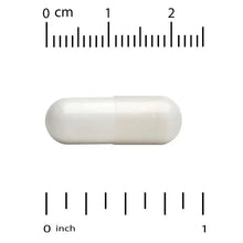 White L-Glutamine capsule, shown with size scale in cm and inches
