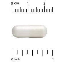 White taurine veggie capsule with size scale in cm and inches