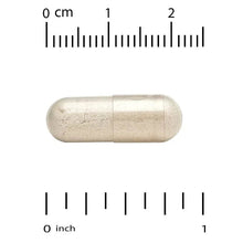 Light beige veggie capsule shown with size ruler markings