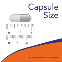 Veg capsule size diagram with ruler scale and capsule shape