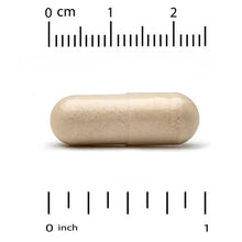 Tan veggie capsule with measurement scale for capsule size