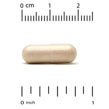 Pair of beige veggie capsules with measurement marks
