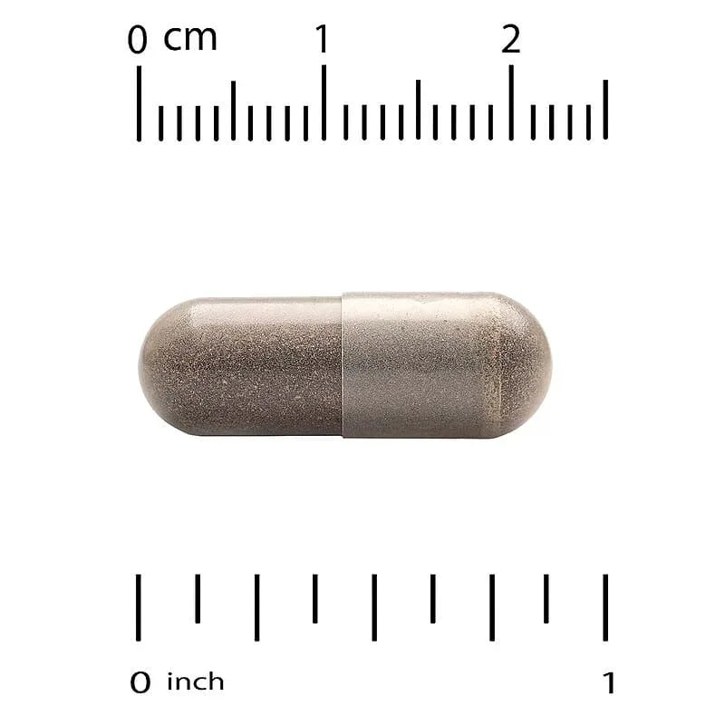 Super Nutrition, Organic Mushroom + Ginger, 60 Veggie Capsules
