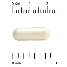 Single light-colored veggie capsule with size markings