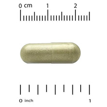 Greenish capsule with seam next to 0 to 2 cm scale