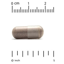 Cinnamon extract veggie capsules, size scale shown