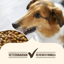 Dry dog food promotion with dog and bowl of kibble; veterinarian-reviewed badge