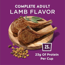 Purina Dog Chow dry dog food with lamb flavor and visible kibble