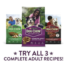 Purina Dog Chow Complete Adult recipes assortment shown with three dog food bags
