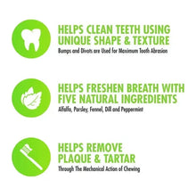 Dental treat benefits icons for cleaning teeth, fresh breath, and removing plaque