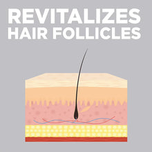 Hair regrowth treatment cross-section diagram showing hair follicles and a hair shaft