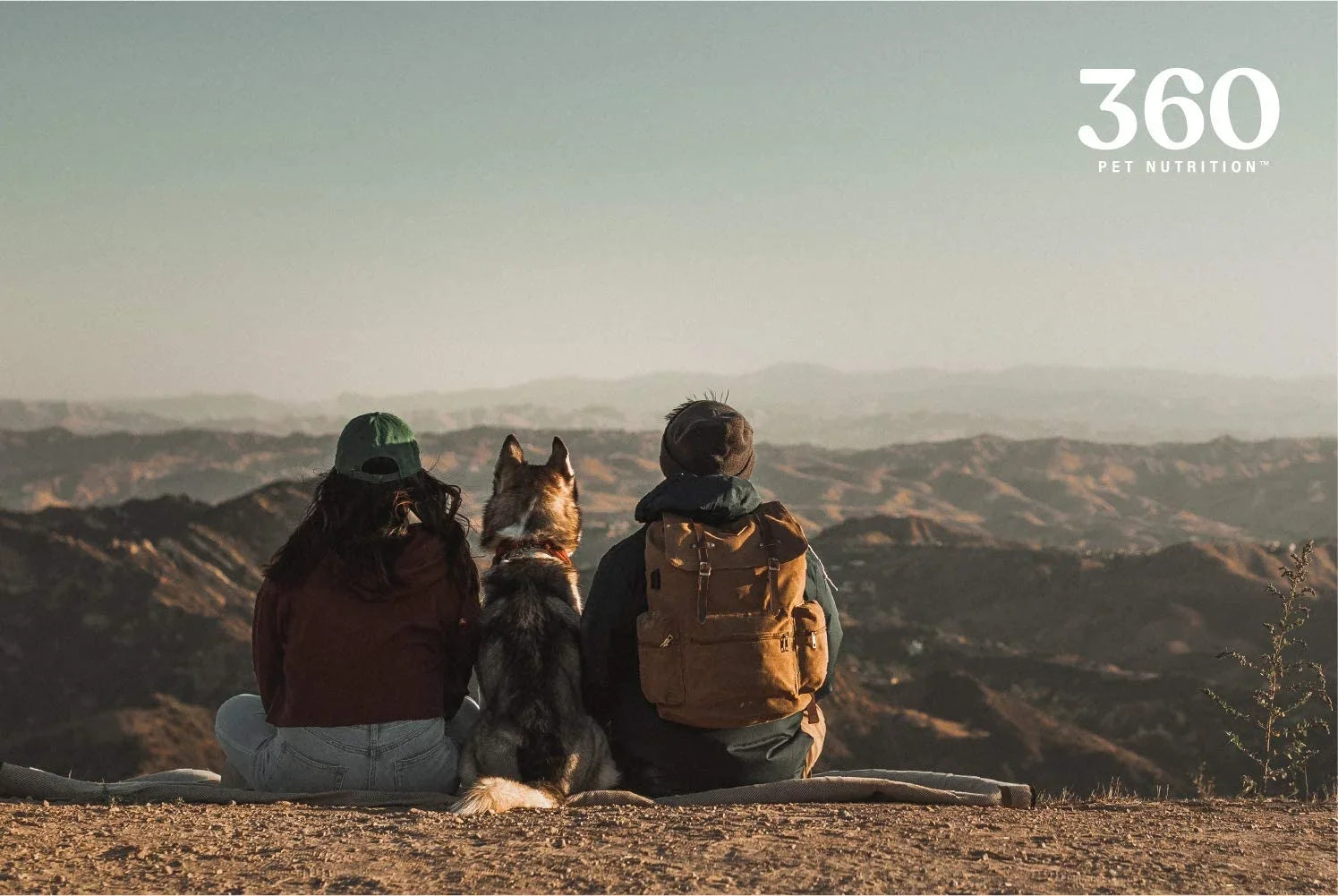 360 Pet Nutrition Multi Protein Flavor Freeze Dried Dog Food