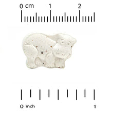 Chewable tablet sample: chalky white pieces with speckles beside ruler scale