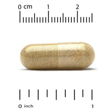 Iron-free veggie capsule, oval beige, shown with size measurement scale