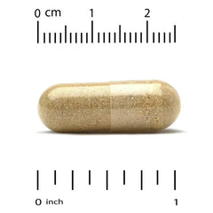 Super Nutrition, Perfect Family Multivitamin + Vitamin A, Methyl B12, Folate, Vitamin C, and Biotin, Iron Free, 240 Veggie Capsules