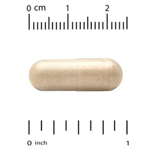Two beige veggie capsules with measurement marks