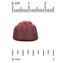 Mixed berry probiotic gummy with inch and centimeter measurement scale