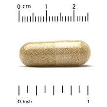 Iron-free multivitamin veggie capsule, tan, shown with size scale