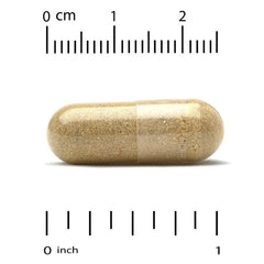 Super Nutrition, Perfect Family Multivitamin + Vitamin A, Methyl B12, Folate, Vitamin C, and Biotin, Iron Free, 240 Veggie Capsules - USA MEGA SHOP