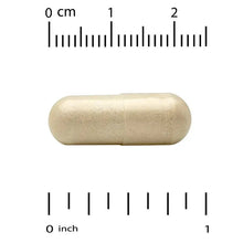 Beige veggie capsule close-up with inch and centimeter scale