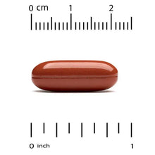 Dark red softgel with inch and cm scale