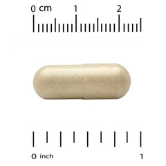 Super Nutrition, Super Immune+ Multivitamin with Super Adaptogens, Vitamin C, Vitamin D, Zinc, and Beta Glucan, 90 Veggie Capsules