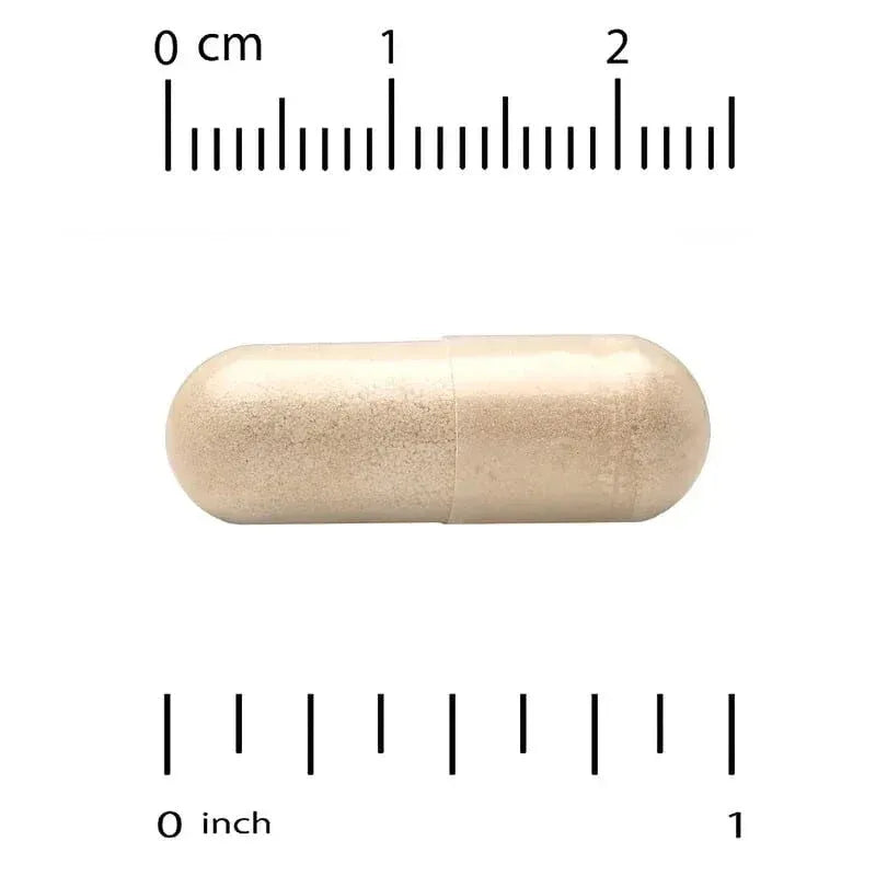 Super Nutrition, Organic Cordyceps Mushroom, 1 g, 60 Veggie Capsules (0.5 g per Capsule) - USA MEGA SHOP